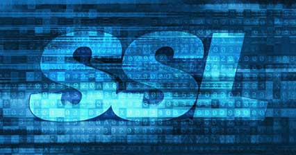 Web Hosting